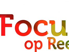 Focus op Reeshof.nl