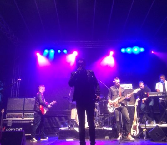 copy cat 8/8/2017, foto Yne Sweep, wijkglossy Focus op Reeshof