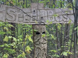 Reeshof speelbos