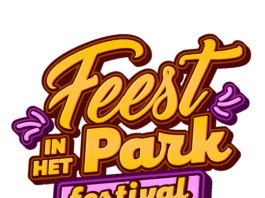Feest in het park