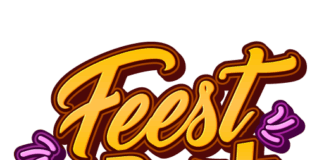Feest in het park