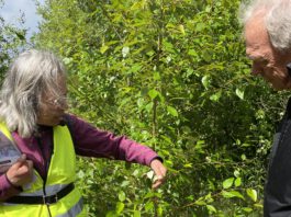 Drijflanen excursie Tilburg, Focus op Reeshof