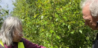 Drijflanen excursie Tilburg, Focus op Reeshof