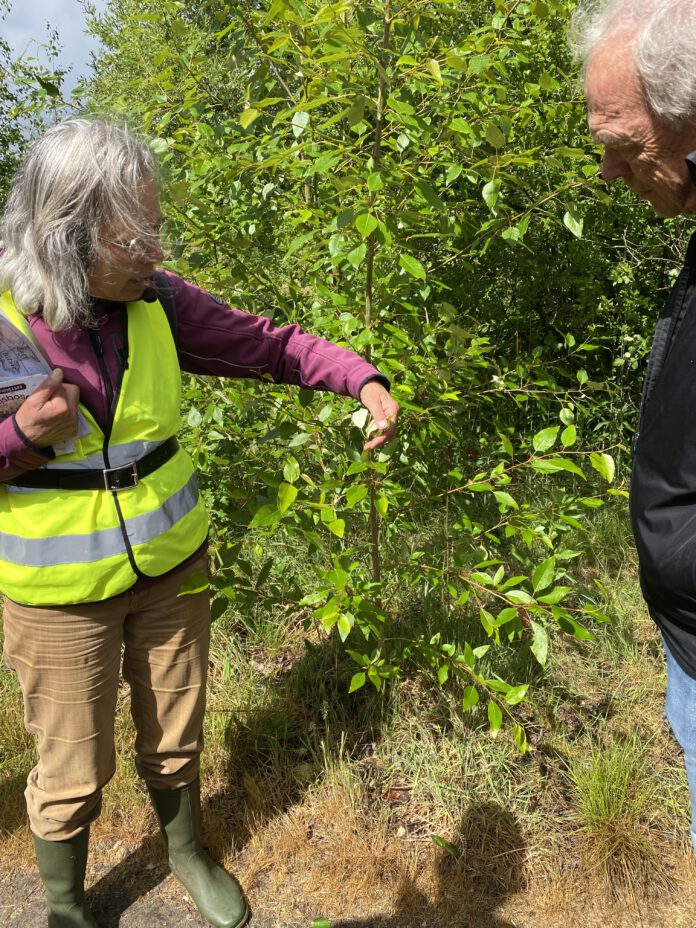 Drijflanen excursie Tilburg, Focus op Reeshof