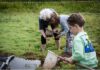 Activiteiten stadsbos 013 augustus / september 2025