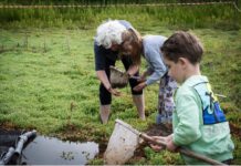 Activiteiten stadsbos 013 augustus / september 2025
