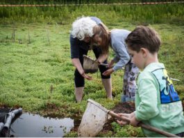 Activiteiten stadsbos 013 augustus / september 2025