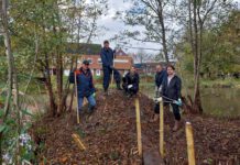 Verslag van de NATUURWERKDAG 01-11-2025 in de DONGEVALLEI Natuurwerkdag Dongevallei Reeshof
