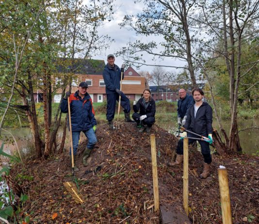 Verslag van de NATUURWERKDAG 01-11-2025 in de DONGEVALLEI Natuurwerkdag Dongevallei Reeshof