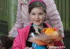 Glorieuze intocht Tilburgse avondvierdaagse 12 juni 2026, focus op Reeshof